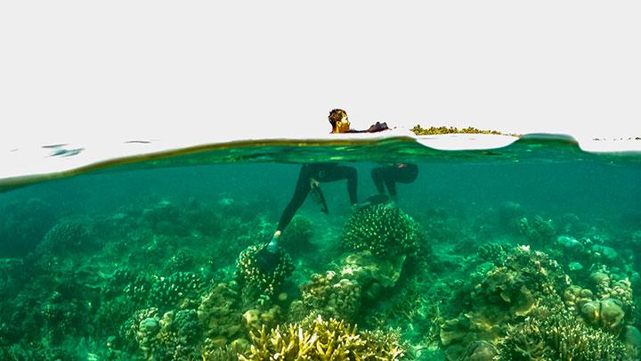 Rekomendasi 5 Wisata Alam pada Pinggiran Ibukota Indonesia untuk Libur Nataru